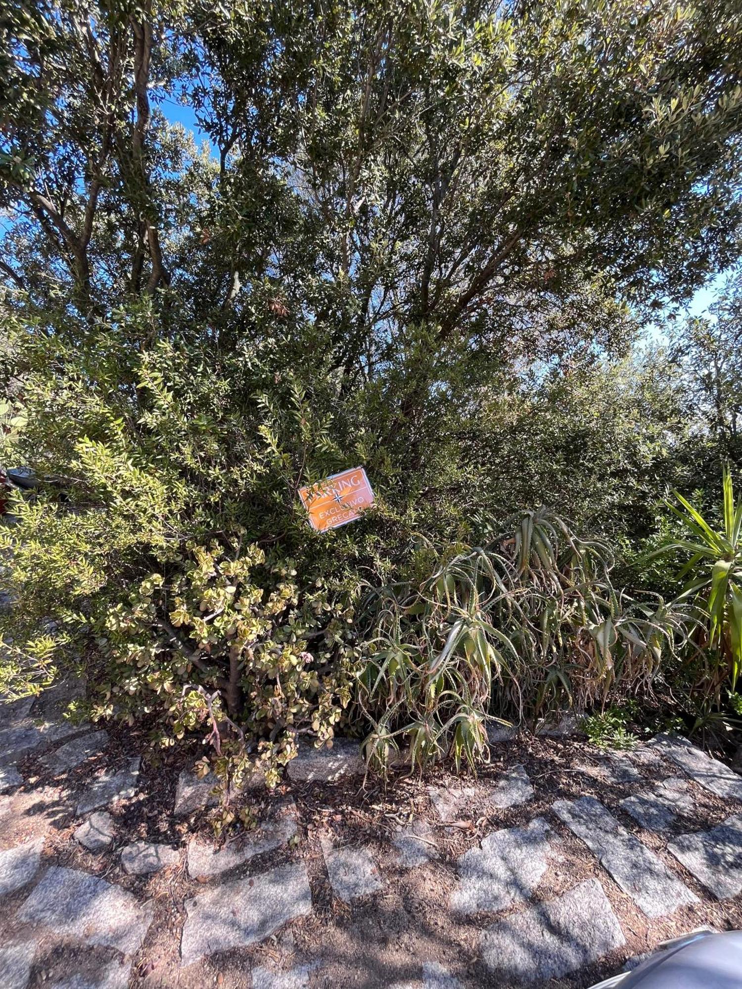 Venti Di Vacanza - Levante & Grecale Olbia Esterno foto
