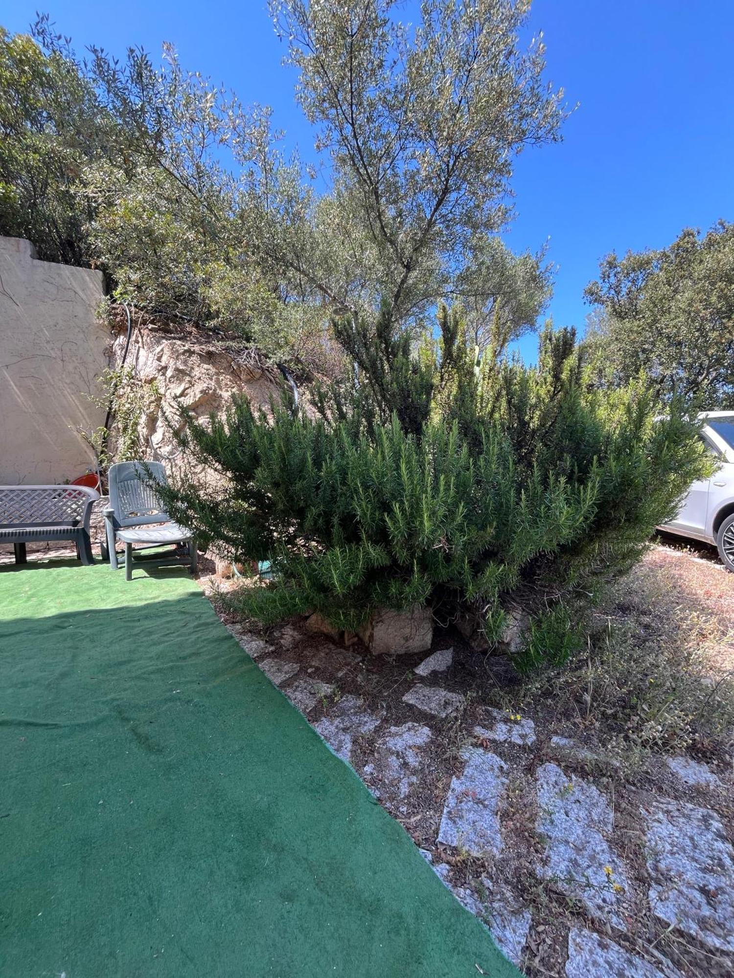 Venti Di Vacanza - Levante & Grecale Olbia Esterno foto